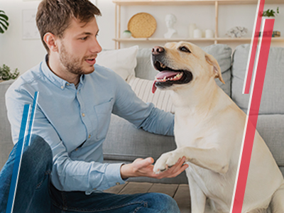 Referenciacion de entrenadores Hombre con perro