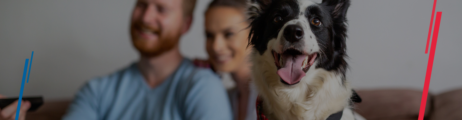 Asistencia para mascotas Pareja con mascota