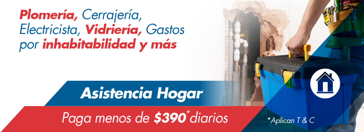 Asistencia Hogar